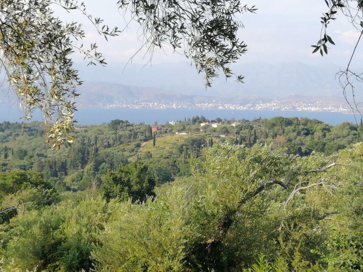 Olive Grove Deluxe Apartment Agnitsini Luaran gambar